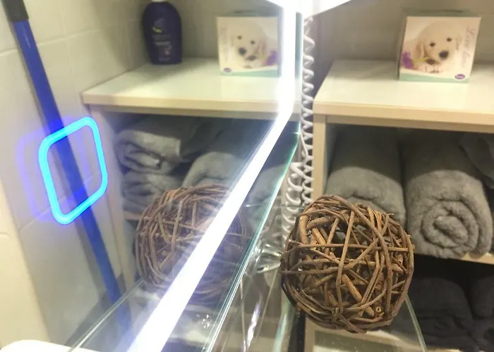 Touched Vip Appartement *